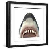 Close-Up of a Great White Shark-null-Framed Art Print