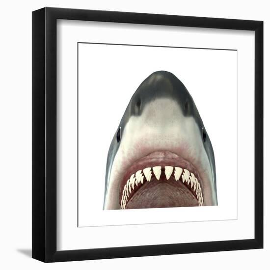 Close-Up of a Great White Shark-null-Framed Art Print