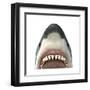 Close-Up of a Great White Shark-null-Framed Art Print