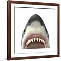 Close-Up of a Great White Shark-null-Framed Art Print