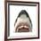 Close-Up of a Great White Shark-null-Framed Art Print