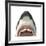 Close-Up of a Great White Shark-null-Framed Art Print