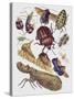 Close-Up of a Group of Hemiptera Insects-null-Stretched Canvas