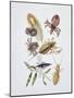 Close-Up of a Group of Isoptera Insects-null-Mounted Giclee Print