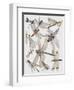 Close-Up of a Group of Odonata Insect-null-Framed Premium Giclee Print