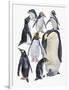 Close-Up of a Group of Penguins-null-Framed Premium Giclee Print