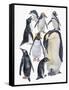 Close-Up of a Group of Penguins-null-Framed Stretched Canvas