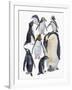 Close-Up of a Group of Penguins-null-Framed Giclee Print