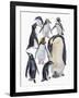 Close-Up of a Group of Penguins-null-Framed Giclee Print