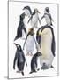 Close-Up of a Group of Penguins-null-Mounted Giclee Print