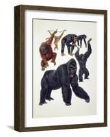 Close-Up of a Group of Primates-null-Framed Giclee Print