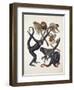 Close-Up of a Group of Primates-null-Framed Giclee Print