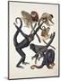 Close-Up of a Group of Primates-null-Mounted Giclee Print