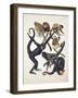 Close-Up of a Group of Primates-null-Framed Giclee Print