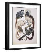 Close-Up of a Group of Primates-null-Framed Giclee Print