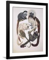 Close-Up of a Group of Primates-null-Framed Giclee Print