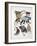 Close-Up of a Group of Primates-null-Framed Giclee Print