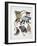 Close-Up of a Group of Primates-null-Framed Giclee Print