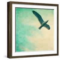 Close-Up of a Gull Flying in a Texturized Sky-Trigger Image-Framed Photographic Print