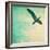 Close-Up of a Gull Flying in a Texturized Sky-Trigger Image-Framed Photographic Print