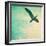 Close-Up of a Gull Flying in a Texturized Sky-Trigger Image-Framed Photographic Print