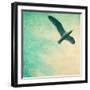 Close-Up of a Gull Flying in a Texturized Sky-Trigger Image-Framed Photographic Print