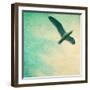 Close-Up of a Gull Flying in a Texturized Sky-Trigger Image-Framed Photographic Print