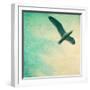 Close-Up of a Gull Flying in a Texturized Sky-Trigger Image-Framed Photographic Print