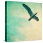Close-Up of a Gull Flying in a Texturized Sky-Trigger Image-Stretched Canvas
