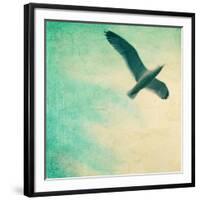 Close-Up of a Gull Flying in a Texturized Sky-Trigger Image-Framed Photographic Print