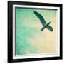 Close-Up of a Gull Flying in a Texturized Sky-Trigger Image-Framed Photographic Print