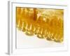 Close-Up of a Honeycomb-Dieter Heinemann-Framed Photographic Print