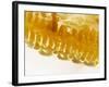 Close-Up of a Honeycomb-Dieter Heinemann-Framed Photographic Print