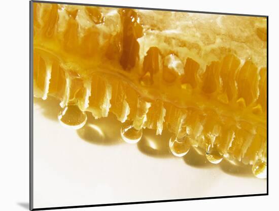 Close-Up of a Honeycomb-Dieter Heinemann-Mounted Photographic Print