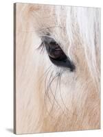 Close-Up of a Horse?S Eye, Lapland, Finland-Nadia Isakova-Stretched Canvas