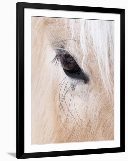 Close-Up of a Horse?S Eye, Lapland, Finland-Nadia Isakova-Framed Photographic Print
