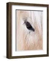 Close-Up of a Horse?S Eye, Lapland, Finland-Nadia Isakova-Framed Photographic Print