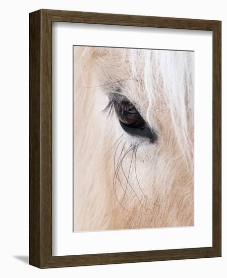 Close-Up of a Horse?S Eye, Lapland, Finland-Nadia Isakova-Framed Photographic Print