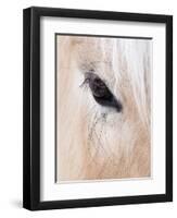 Close-Up of a Horse?S Eye, Lapland, Finland-Nadia Isakova-Framed Photographic Print