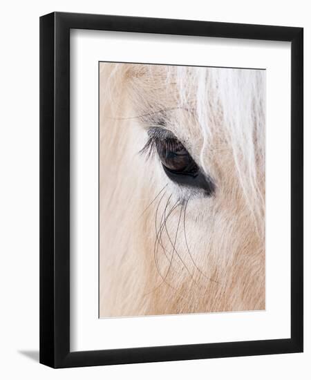 Close-Up of a Horse?S Eye, Lapland, Finland-Nadia Isakova-Framed Photographic Print