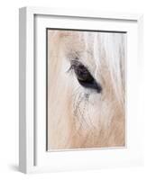 Close-Up of a Horse?S Eye, Lapland, Finland-Nadia Isakova-Framed Photographic Print