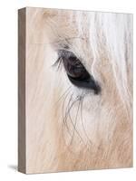 Close-Up of a Horse?S Eye, Lapland, Finland-Nadia Isakova-Stretched Canvas
