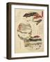 Close-Up of a Japanese Painting-null-Framed Giclee Print