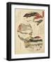 Close-Up of a Japanese Painting-null-Framed Giclee Print