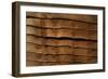 Close Up of a Larch Lap Fencing Panel-Natalie Tepper-Framed Photo