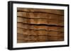 Close Up of a Larch Lap Fencing Panel-Natalie Tepper-Framed Photo