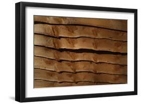 Close Up of a Larch Lap Fencing Panel-Natalie Tepper-Framed Photo