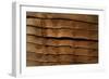 Close Up of a Larch Lap Fencing Panel-Natalie Tepper-Framed Photo