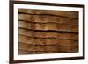 Close Up of a Larch Lap Fencing Panel-Natalie Tepper-Framed Photo