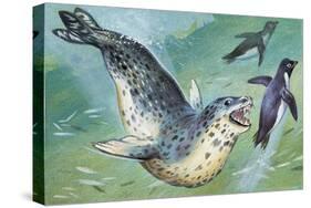 Close-Up of a Leopard Seal Hunting a Penguin (Hydrurga Leptonyx)-null-Stretched Canvas